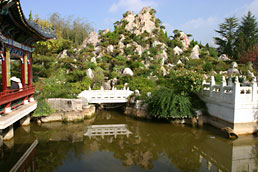 Reflections in the Shandong provincial garden