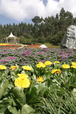 Observation tower and floral garden