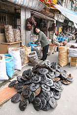 Slugs and snails and puppy dog's tails? Guangzhou herb and spice market